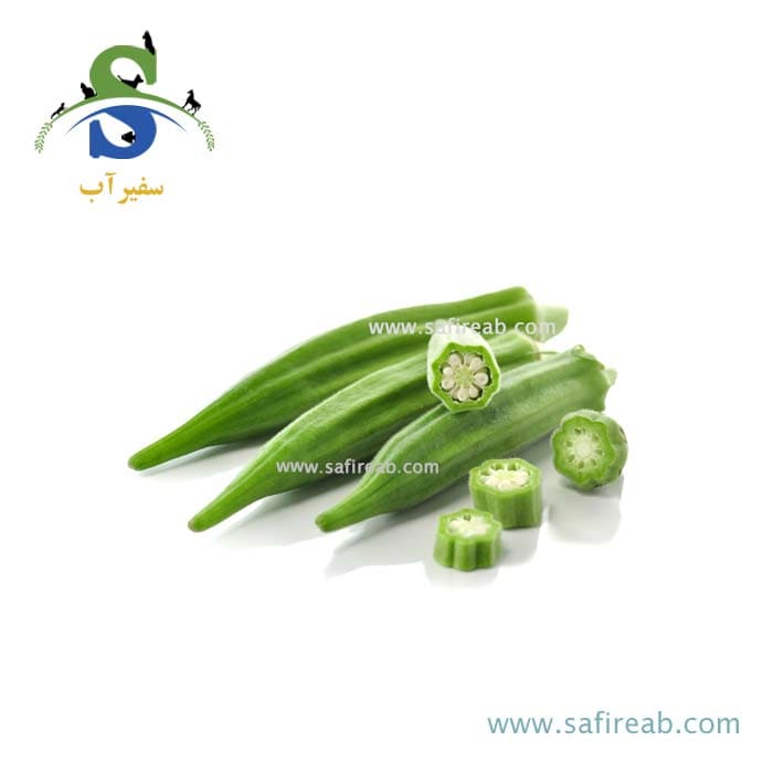 بذر بامیه کلمسون بروسیدز - Image 2