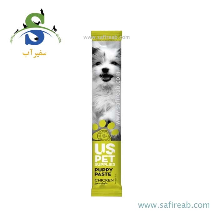 بستنی توله سگ طعم گوشت مرغ یو اس پت