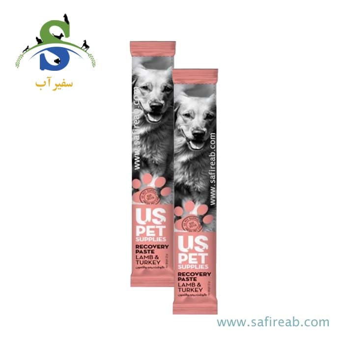 بستنی سگ بالغ مدل ریکاوری طعم گوشت بره و بوقلمون یو اس پت - Image 2