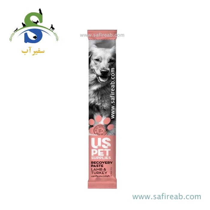 بستنی سگ بالغ مدل ریکاوری طعم گوشت بره و بوقلمون یو اس پت