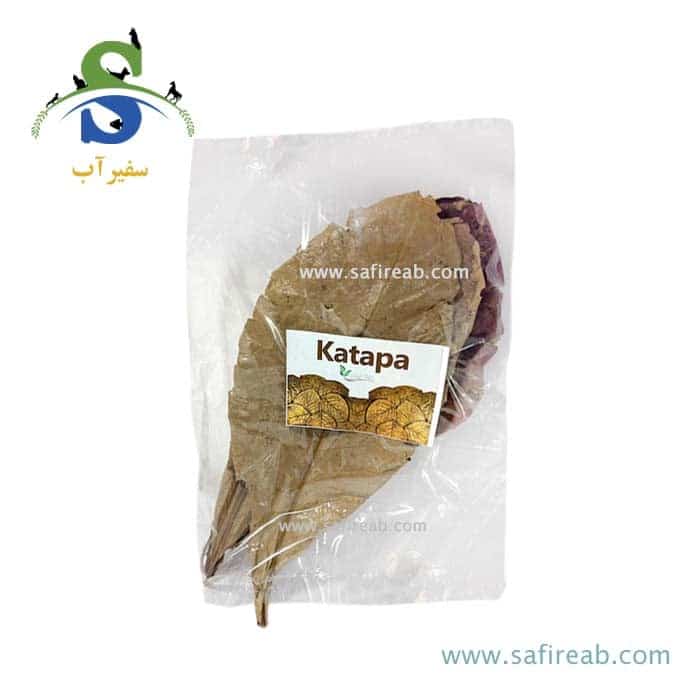 برگ کاتاپا برگچین
