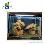 آکواریوم آماده رومیزی دکور شده کد A126