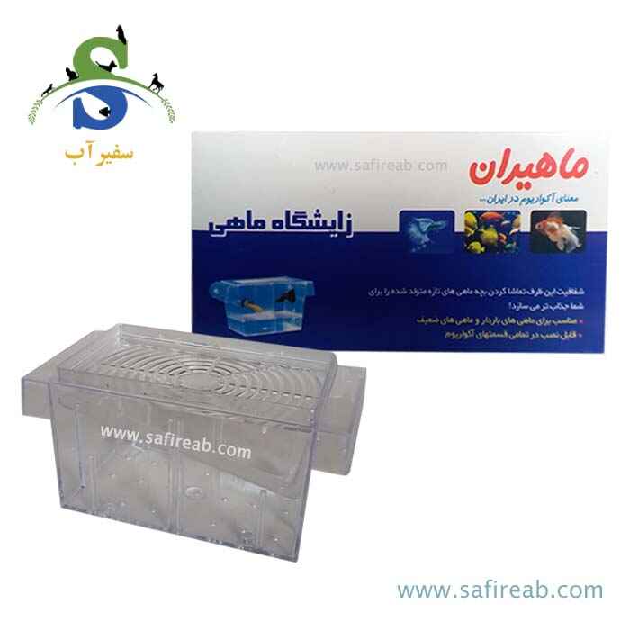 زایشگاه و پرورشگاه ماهی کوچک ماهیران