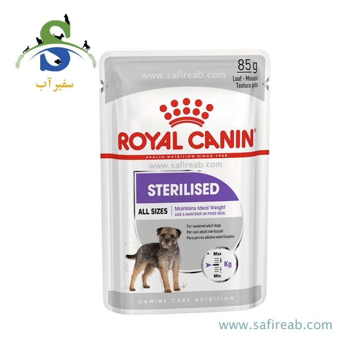 پوچ سگ بالغ عقیم شده نژاد کوچک (پک 12 عددی) رویال کنین