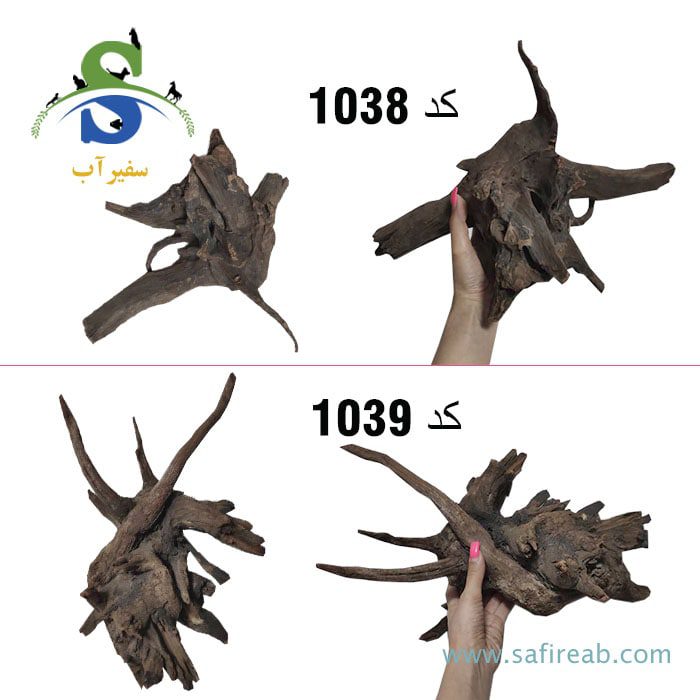 چوب تزئینی آکواریوم تنه چوب آبنوس - Image 11