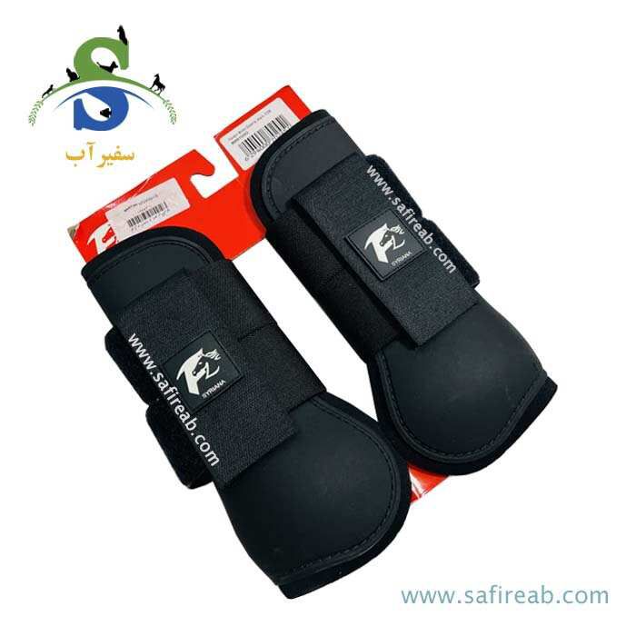 تاندون بند اسب سایرینا