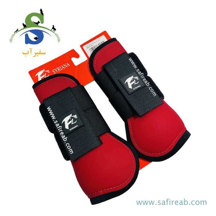 تاندون بند اسب سایرینا - Image 3