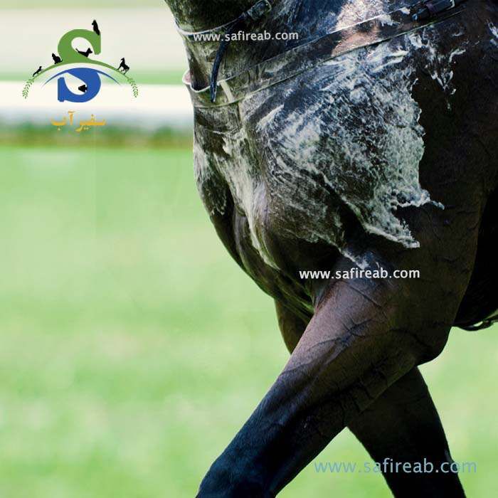 مکمل الکترولیت اسب تی آر ام - Image 3