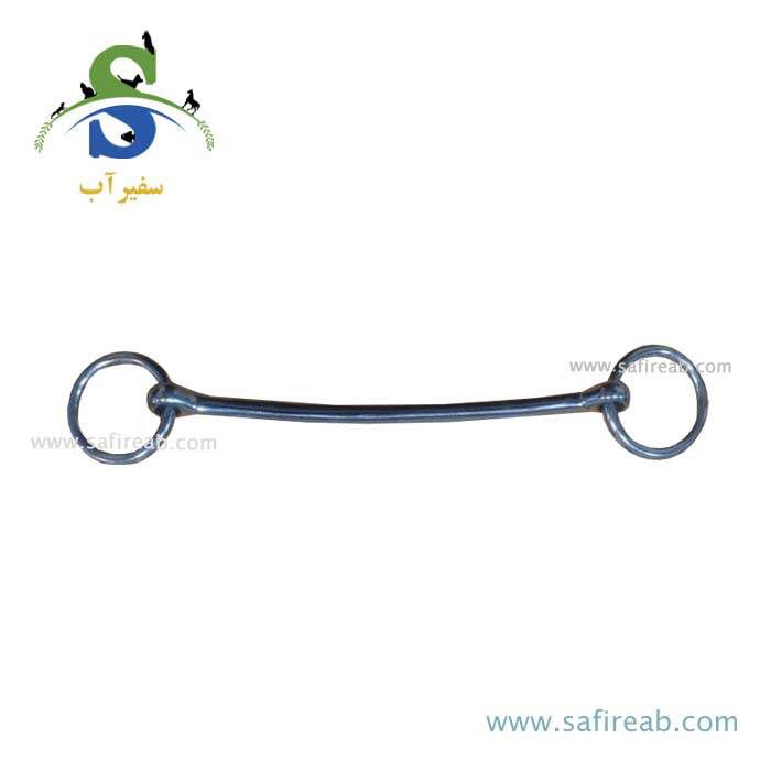 دهنه نقره ای شو اسب عرب