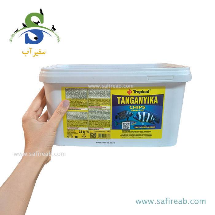 غذای چیپسی سیچلایدهای تانگانیکا تروپیکال - Image 4