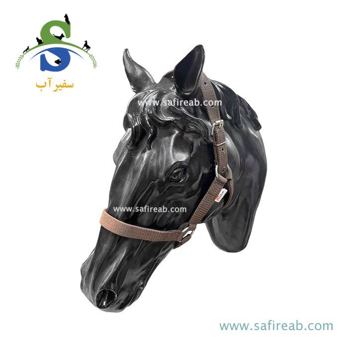 کلگی ساده رنگی اسب پیتکو - Image 3
