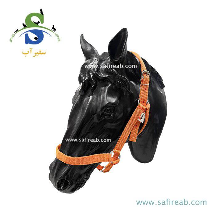 کلگی ساده رنگی اسب پیتکو