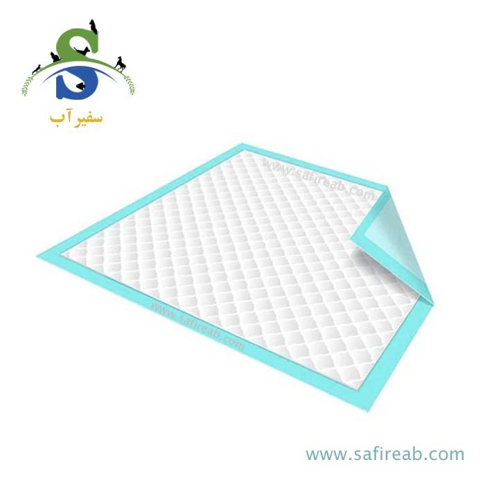 پد بهداشتی اکونومی یکبار مصرف 60 در 80 سانت سگ و گربه (بسته 11 عددی) کندی - Image 2