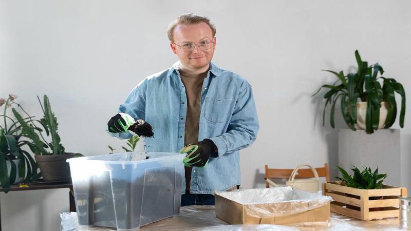 Common mistakes of beginners in setting up and maintaining an aquarium