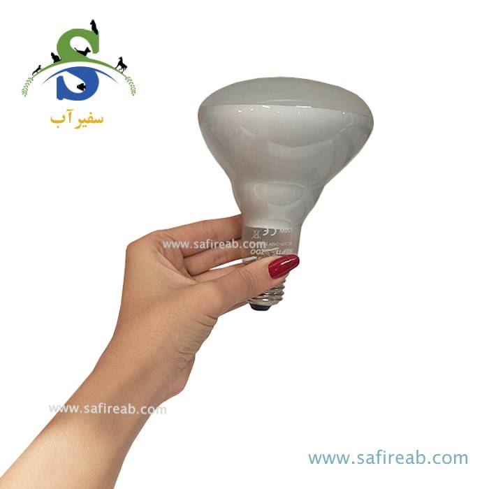 لامپ حرارتی متمرکز تراریوم 150W رپتی زوو کد BS95150 - Image 2