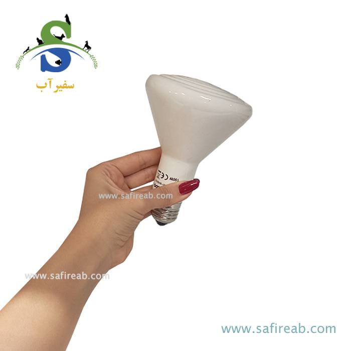 لامپ حرارتی سرامیکی سفید مادون قرمز تراریوم 150W رپتی زوو DL290150 - Image 2