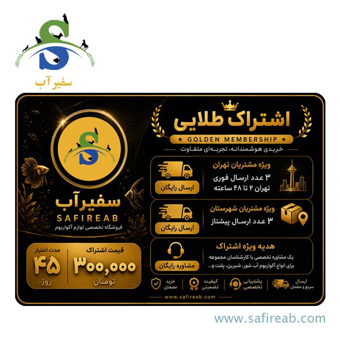 اشتراک طلایی آکواریوم