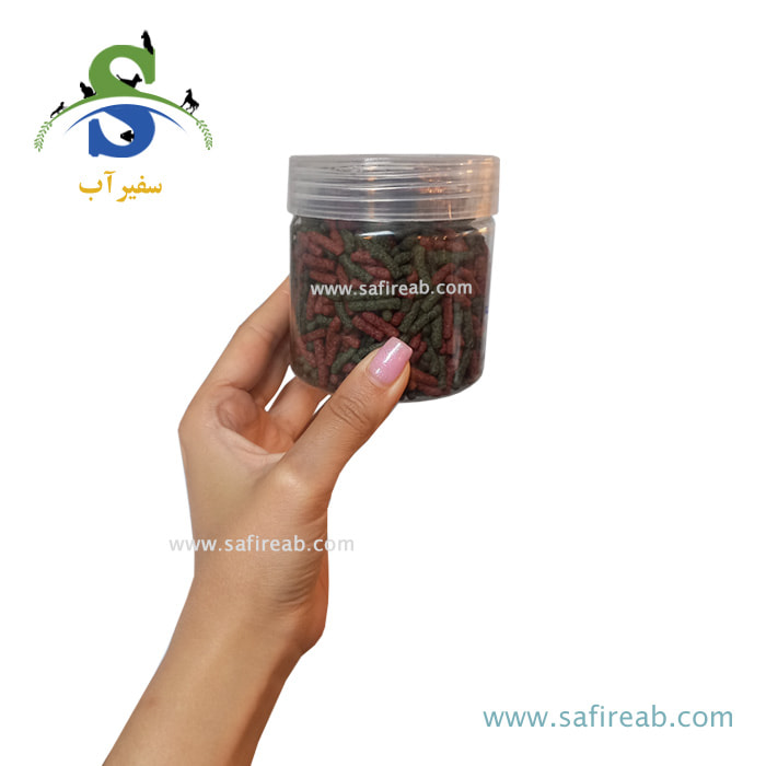 غذای استیکی ماهی کوی - Image 2