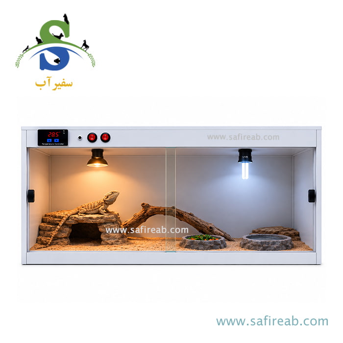 تراریوم مخصوص بیردد دراگون