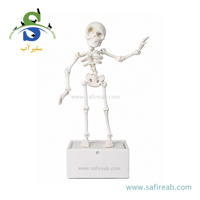 دکوری متحرک آکواریوم طرح اسکلت رقصان